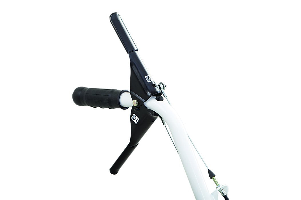 Tielbürger Schmutz- und Schneekehrmaschine tk58 Honda GXV160 - Modell 2025