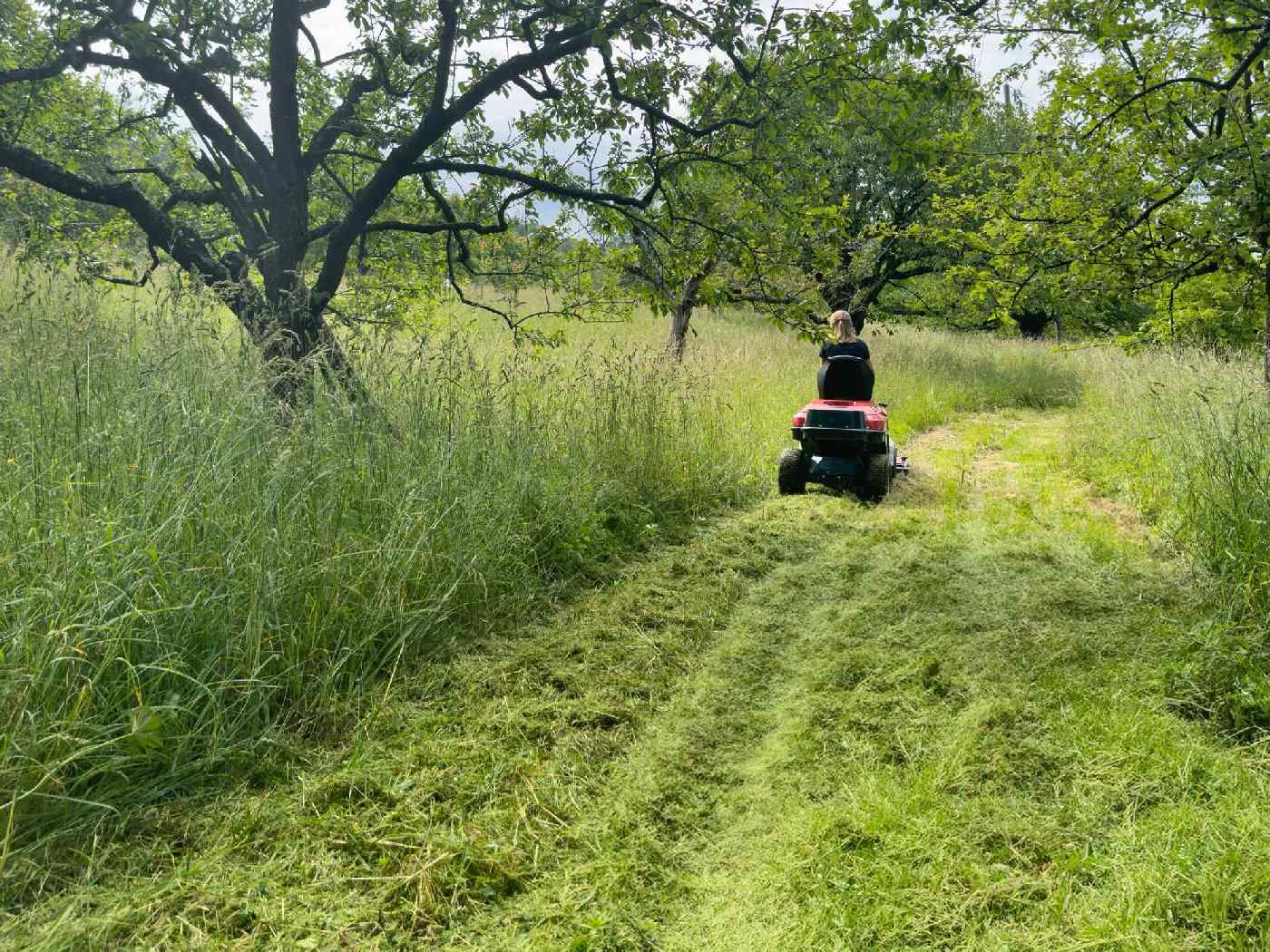 ERCO Frontmäher mit Allradantrieb FM-220-4WD Grundgerät mit Wiesendeck inkl. Kehrmaschine 100cm